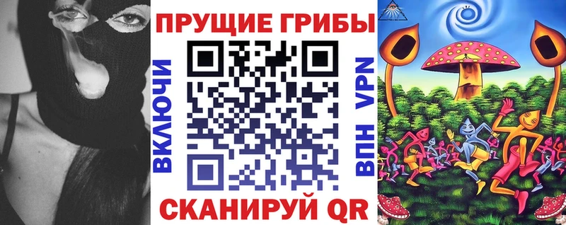 наркошоп OMG зеркало Псилоцибиновые грибы мицелий Дудинка